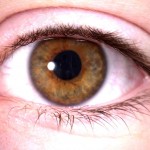 abogados negligencia medica new jersey philadelphia cirugia zona equivocada oregon