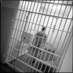 Maltrato y abuso sexual en la residencia Morningside Heights Maltrato y abuso sexual en la residencia Morningside Heights
